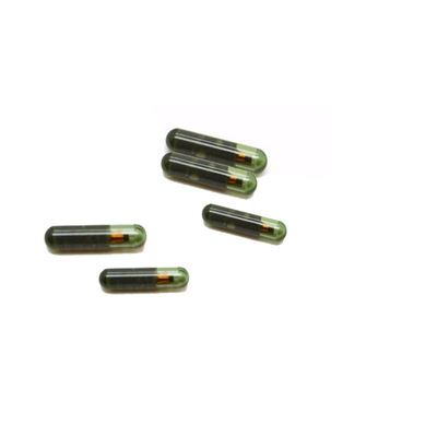 Groothandel Car Chip ID13-MG00 13 Glas Transponder Chip Honda Car Key Case vervanging